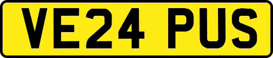 VE24PUS