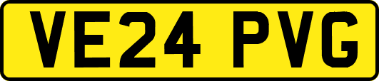 VE24PVG