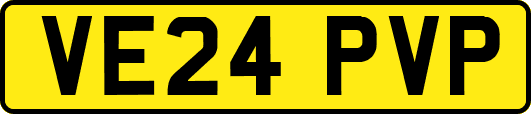 VE24PVP