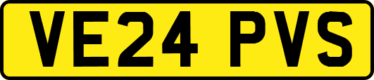 VE24PVS