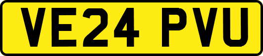 VE24PVU
