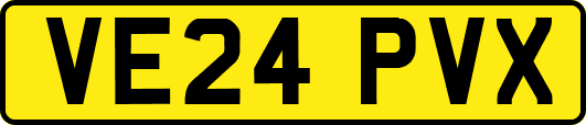 VE24PVX