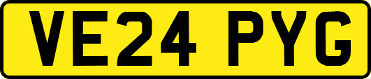 VE24PYG
