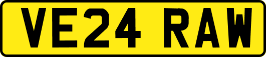 VE24RAW