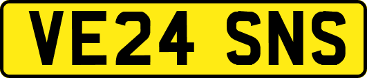 VE24SNS