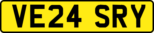 VE24SRY