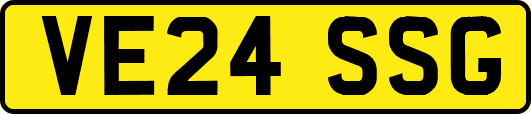 VE24SSG