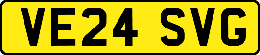VE24SVG