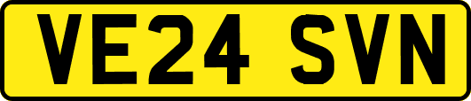 VE24SVN