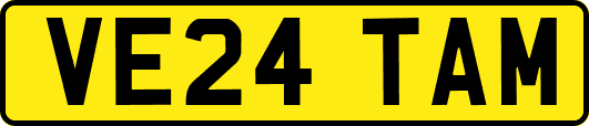 VE24TAM