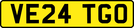 VE24TGO