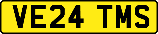 VE24TMS
