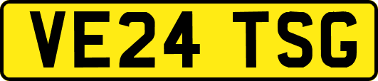 VE24TSG