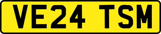 VE24TSM
