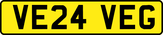 VE24VEG
