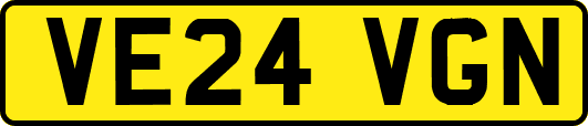 VE24VGN