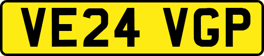 VE24VGP