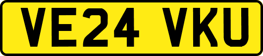 VE24VKU