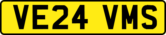 VE24VMS