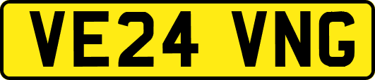 VE24VNG