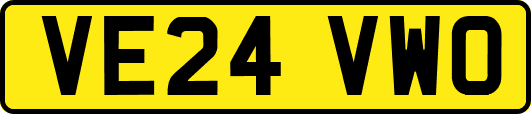 VE24VWO