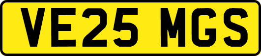 VE25MGS