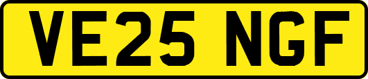 VE25NGF