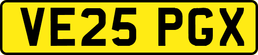 VE25PGX