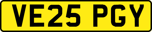 VE25PGY