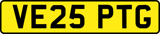 VE25PTG