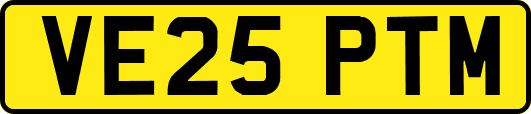 VE25PTM