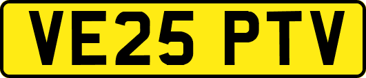 VE25PTV