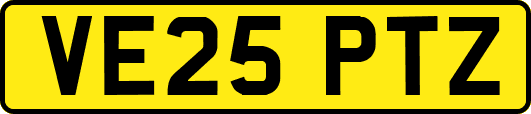 VE25PTZ