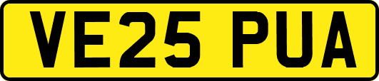 VE25PUA