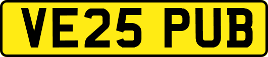 VE25PUB