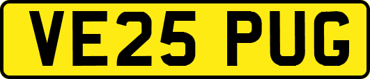 VE25PUG