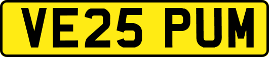 VE25PUM