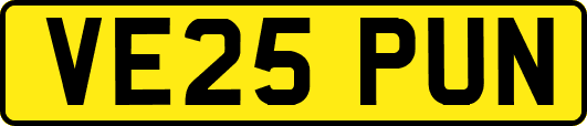 VE25PUN