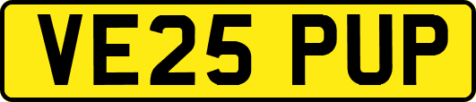 VE25PUP