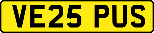 VE25PUS