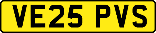 VE25PVS
