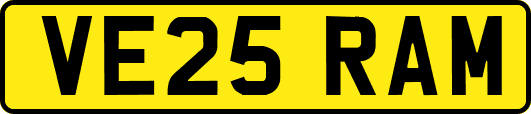 VE25RAM