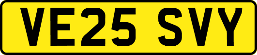 VE25SVY