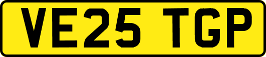 VE25TGP