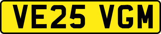VE25VGM