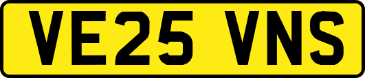 VE25VNS