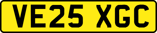 VE25XGC