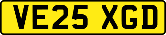 VE25XGD