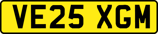 VE25XGM