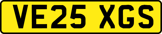 VE25XGS